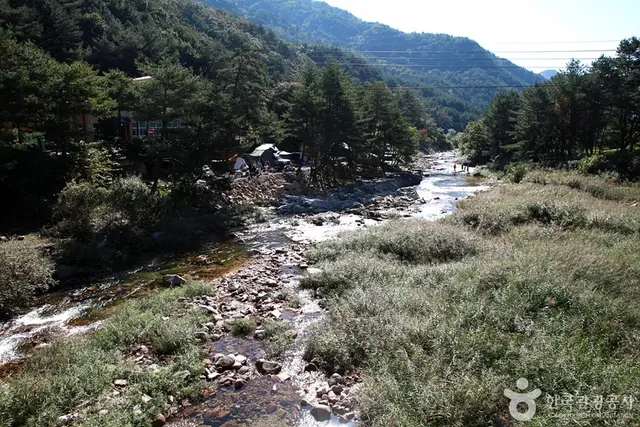 법흥계곡 사진