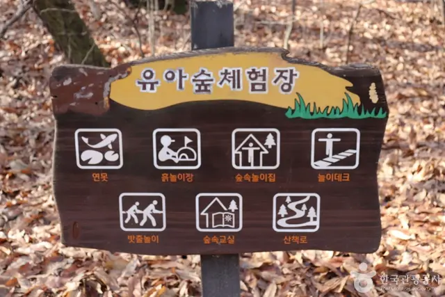 오동근린공원 유아숲체험장 사진