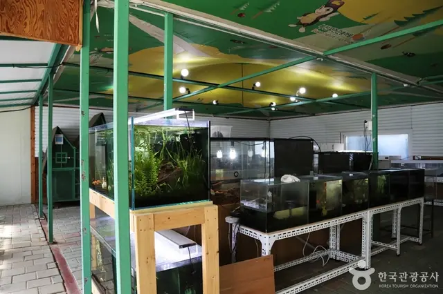 부산자연곤충마을 사진