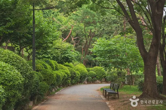 남산야외식물원 사진