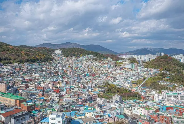 책마루전망대 사진