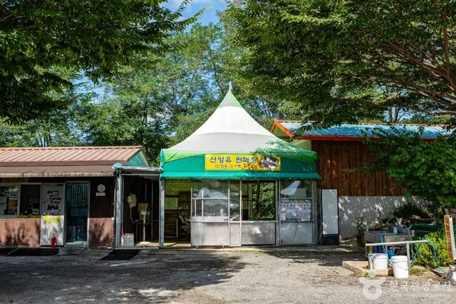 칠곡양떼목장 사진