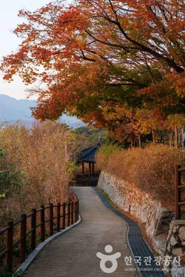 마로니에공원 사진