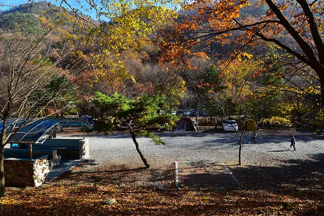 금산산림문화타운 사진