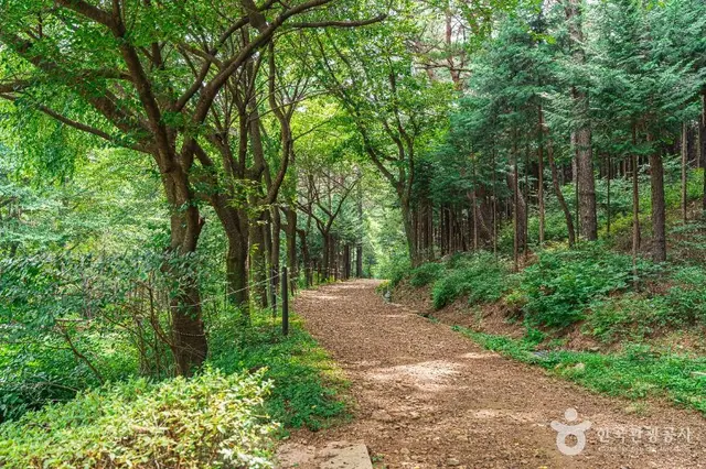 문수산산림욕장 사진