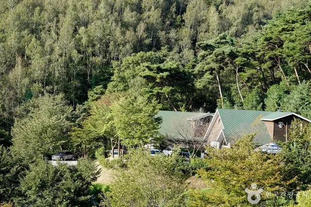 미숭산자연휴양림 사진