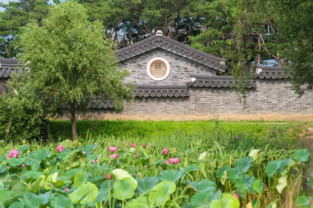 세미원 사진