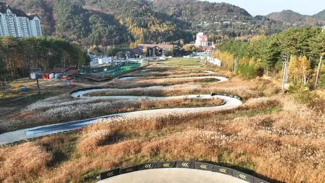 용평루지 사진