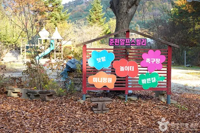 알프스벨리 사계절썰매장 사진