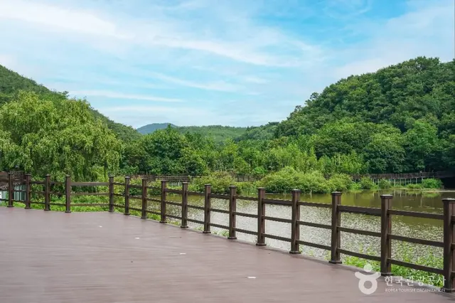 창평지 친환경 생태공원 사진