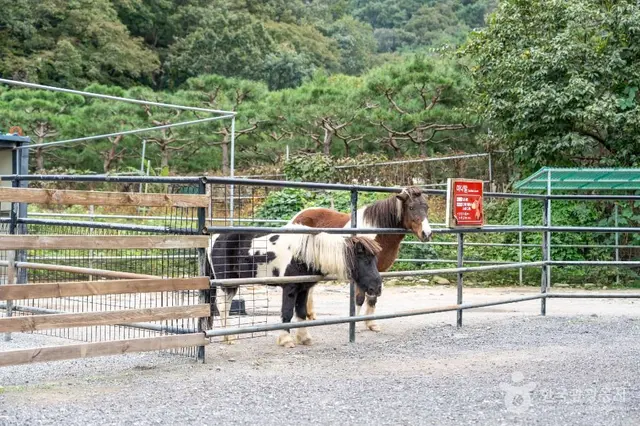 바둑이네동물원 사진