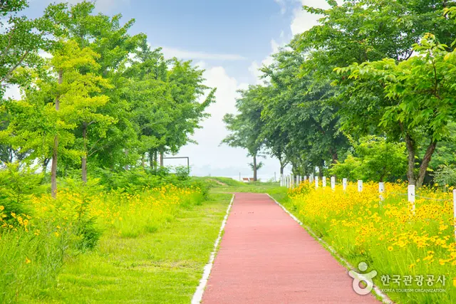 춘천 하중도수변생태공원 사진