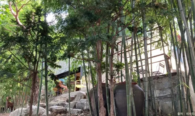 미사장 사진