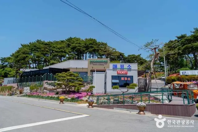 홍성솔바람테마파크 사진