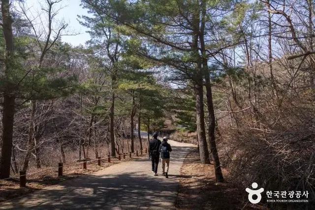 안양수목원 사진