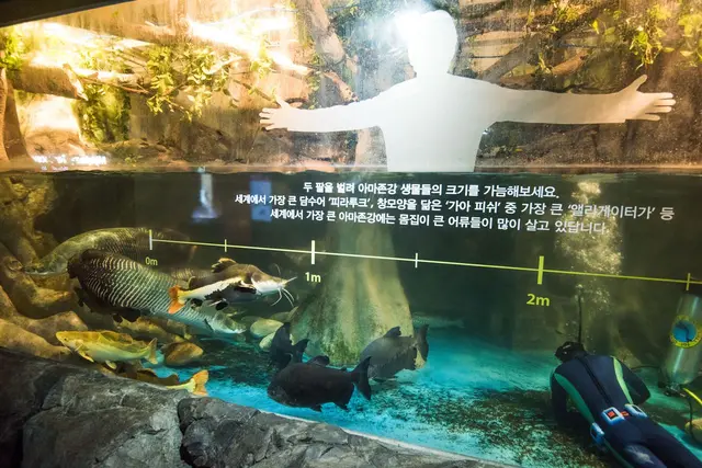 아쿠아플라넷 제주 사진