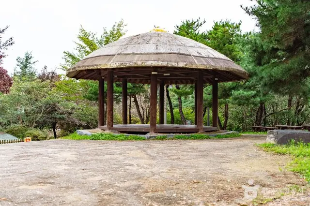 불당동유적공원 유아숲체험원 사진