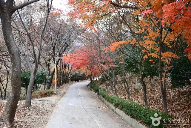 흑석산 자연휴양림 사진