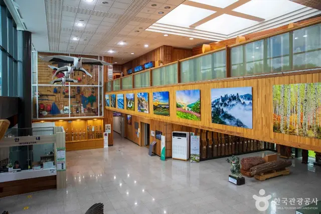 강원특별자치도립화목원 사진