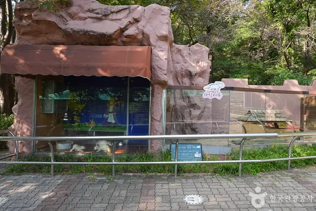 인천대공원 어린이동물원 사진