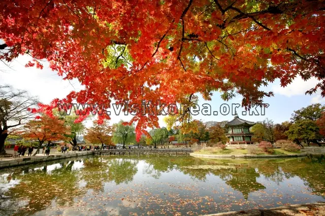 경복궁 향원정 사진