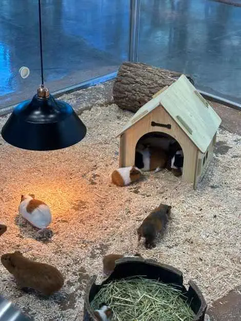 와글와글 동물원 사진