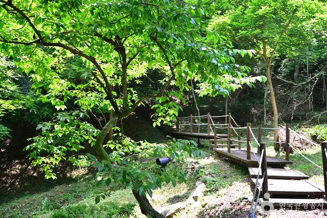 백아산자연휴양림 사진