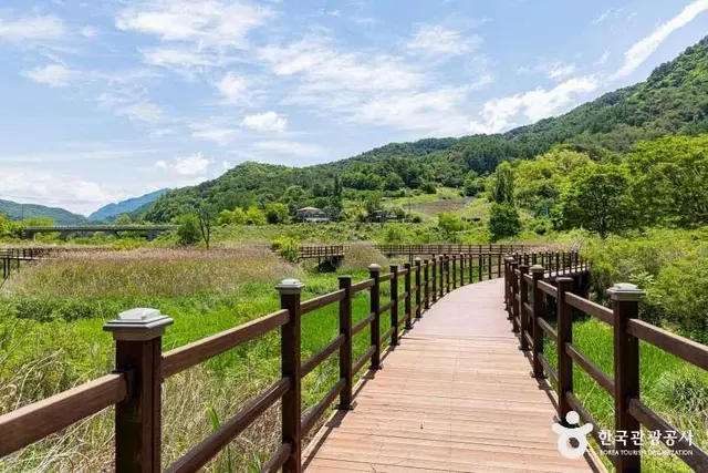 옥순봉생태공원 사진