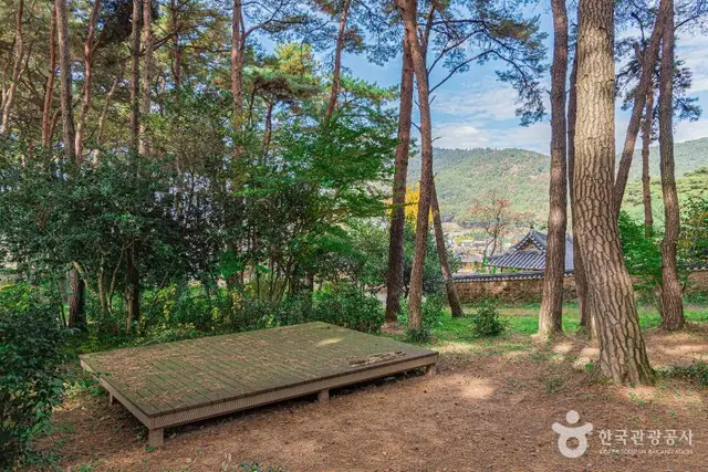 제봉산 마법의 숲 체험원 사진