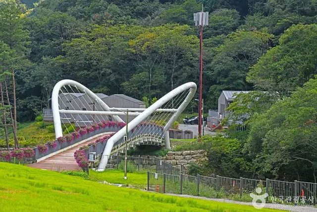 갯골자연휴양림 사진
