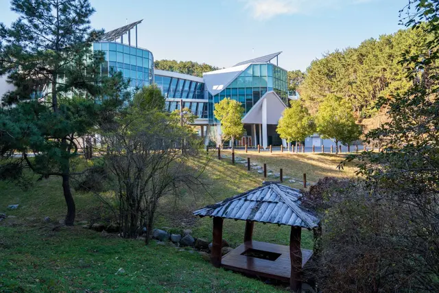 통영RCE세자트라숲 사진