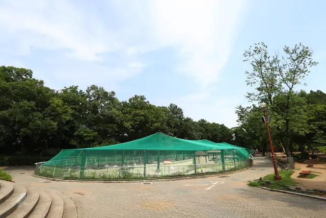 달성공원 사진