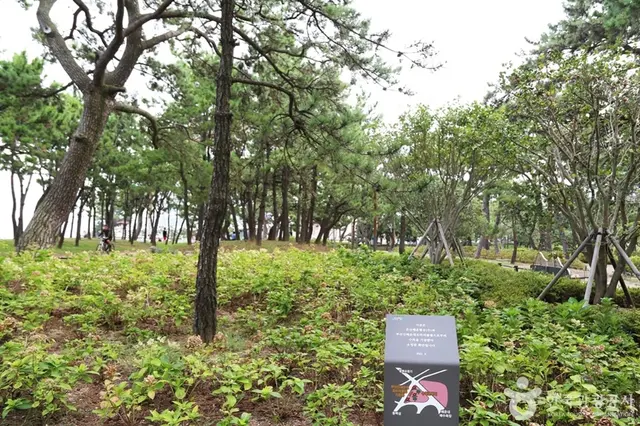 송림공원 사진
