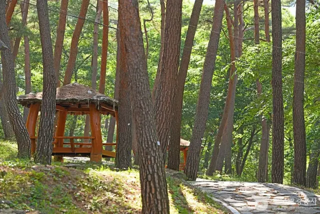 만수산자연휴양림 사진