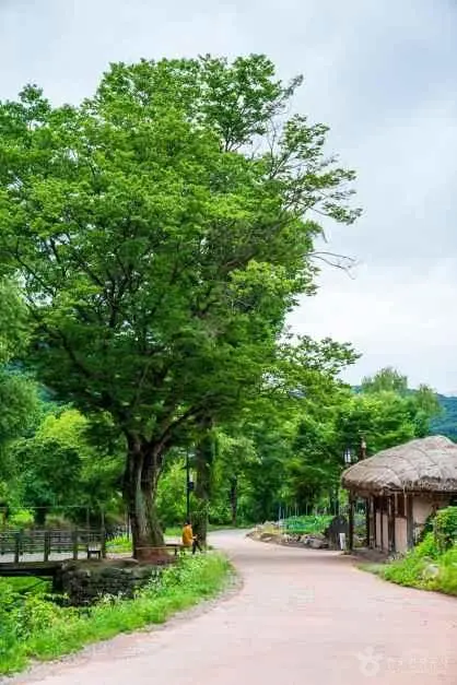 외암민속마을 사진
