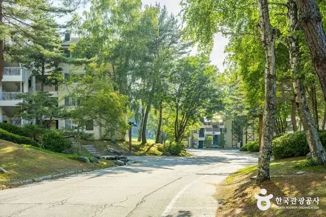 모나용평 사진