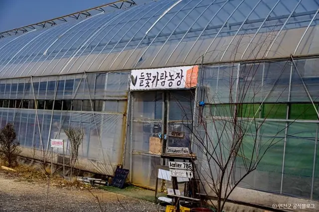 들꽃가람농장 사진