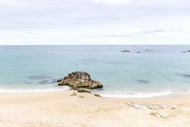 영진해변 사진