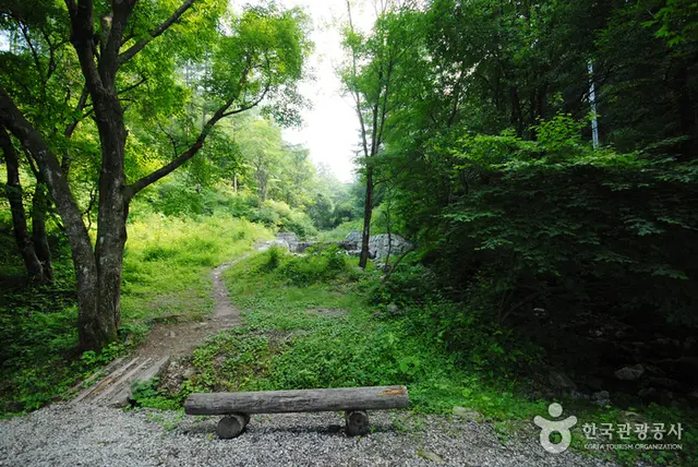 중미산자연휴양림 사진