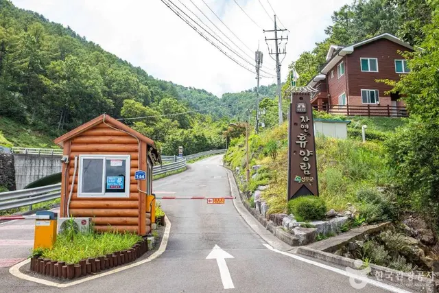 독용산성 자연휴양림 사진