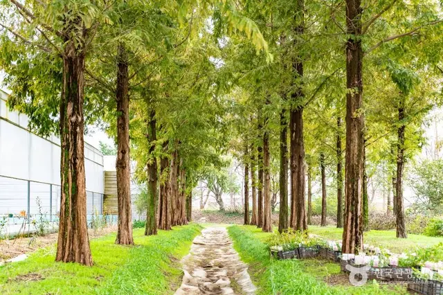 아산세계꽃식물원 사진