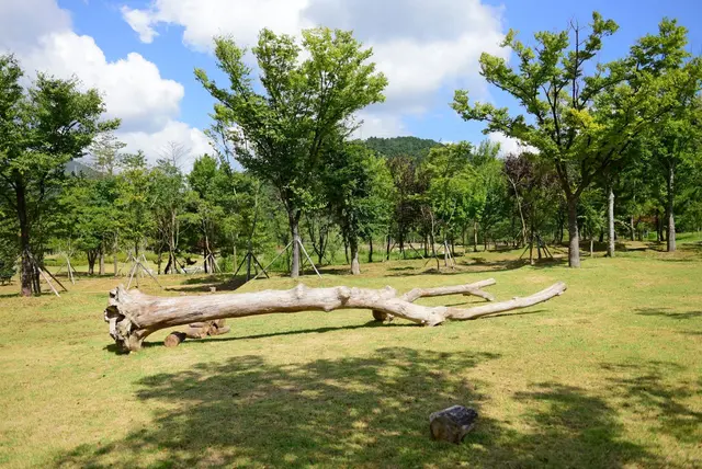 해운대수목원 사진