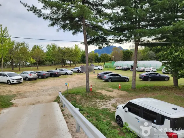 춘천 하중도수변생태공원 사진