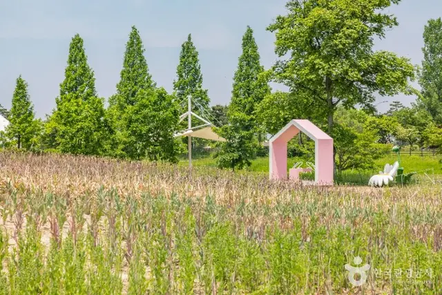 문암생태공원 사진