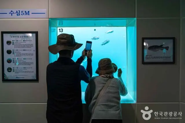 천부해중전망대 사진