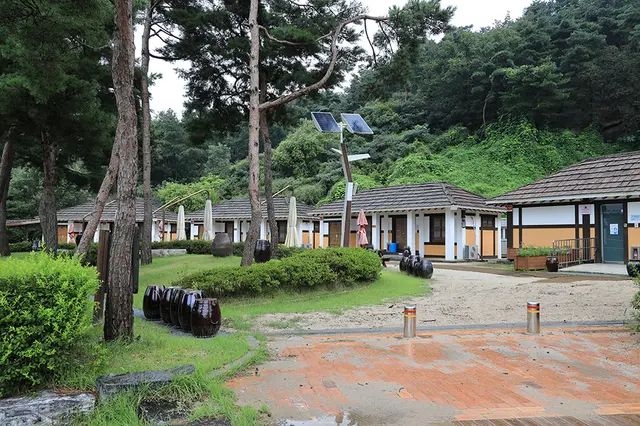 이천 농업테마공원 사진