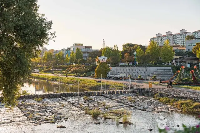 갑천 사진