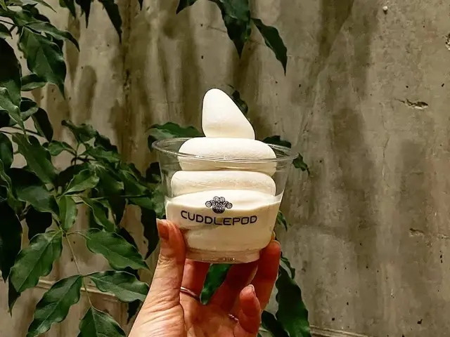 커들포드 사진