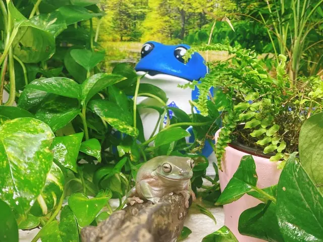 마리앤쥬 사진