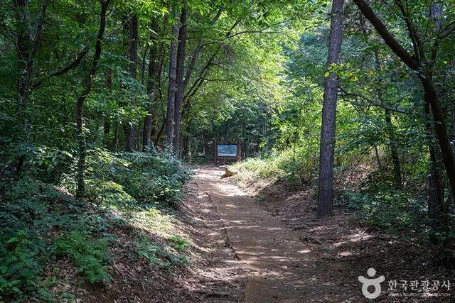 서봉산산림욕장 사진